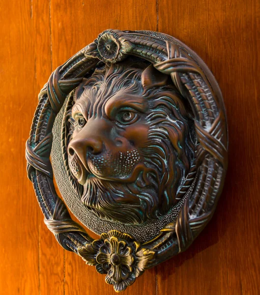 ヴィンテージの装飾に美しい入口 ライオンの形をした真鍮製ドアノッカーとドア — ストック写真