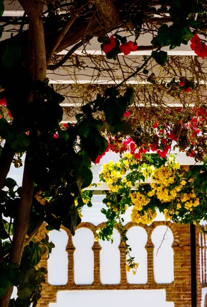カラフルな花を持つつる植物で覆われて美しいアーバーでクローズ アップ リラックス場所 — ストック写真