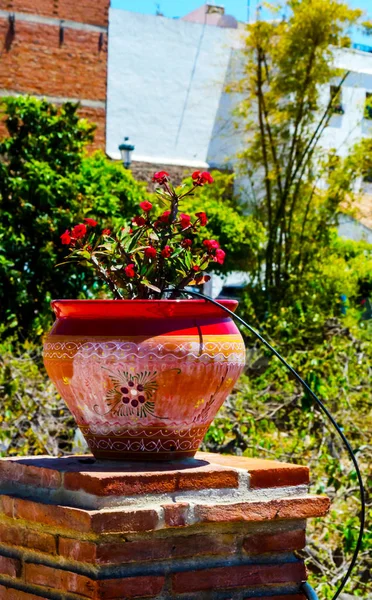 Vackra Keramiska Blomkruka Piedestal Med Blommor Dekoration Stadsrummet — Stockfoto