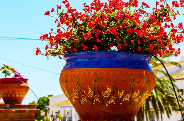 Belo Pote Flor Cerâmico Pedestal Com Flores Decoração Espaço Urbano — Fotografia de Stock