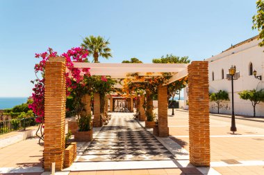 portre renkli çiçekli bitkiler tırmanma ile kaplı güzel bir çardak üzerinde dinlenmek yer, mimari