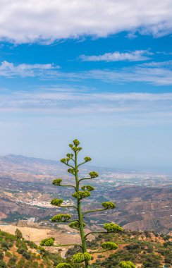 Andalusia, evler ve tarım arazileri bölgesi dağlarında güzel manzara dağlar, doğa eteklerinde