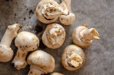 taze hasat kirli mantar yaymak kağıt, ham ve sağlıklı sebze, vejetaryen yemek