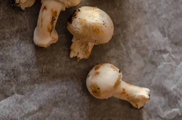 新鲜收获的脏蘑菇铺在纸上 生和健康的蔬菜 — 图库照片