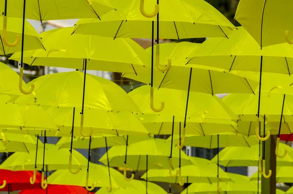 다채로운 장식입니다 화창한 화려한 우산을 — 스톡 사진