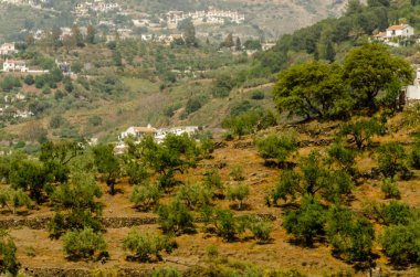 tipik İspanyol köy evleri ve tarım arazisi Hills Endülüs, dağ manzarası