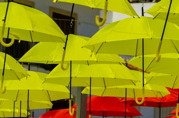 다채로운 장식입니다 화창한 화려한 우산을 — 스톡 사진