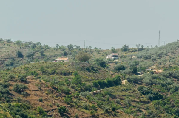 Casas Típicas Del Pueblo Español Tierras Cultivo Las Colinas Andalusia — Foto de Stock