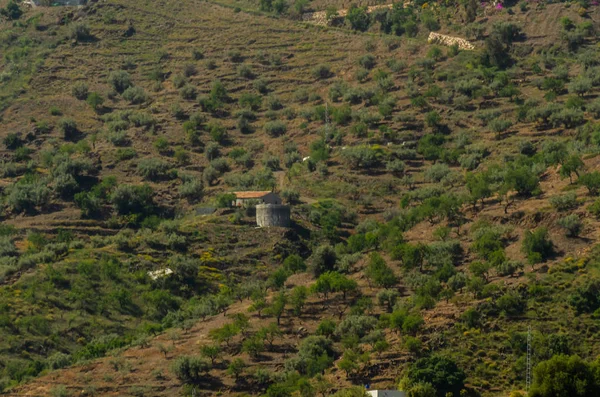 Cuenca Riego Hormigón Altas Colinas Andalucía Lugar Almacenamiento Agua Zonas —  Fotos de Stock