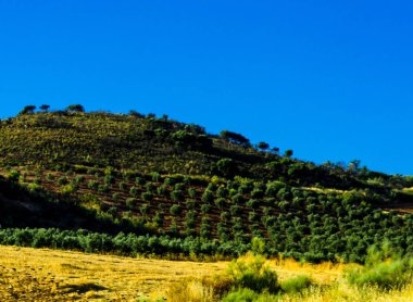 dağ doruklarına Endülüs bölgesi, tipik dağ manzarası, vahşi doğa