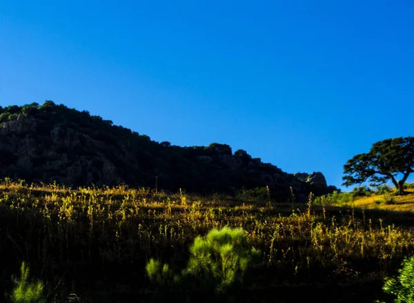 Sommets Montagneux Dans Région Andalouse Paysage Montagneux Typique Nature Sauvage — Photo