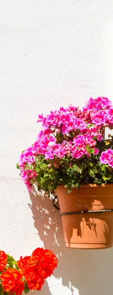 Vaso Flores Cerâmica Com Flores Penduradas Parede Decorando Espaço Urbano — Fotografia de Stock