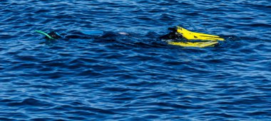 deniz yüzeyinde, aktif ve ilginç su sporları, yüzme sırasında bir şnorkel ile dalgıç dalış