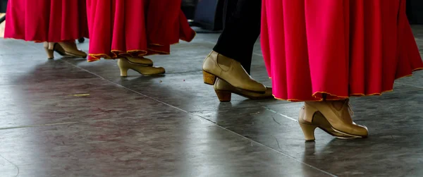 closeup of a typical shoes to the traditional Spanish flamenco dance shoes, leather high heels, part of the costume