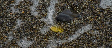 Kripto Döviz altın Bitcoin, Btc, Bitcoin makro çekim Plaj arka planda, bitcoin incelemesi kavramı paralar.