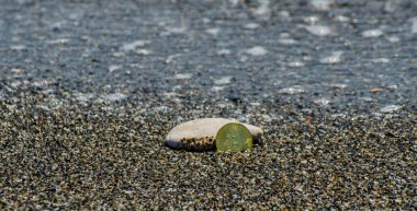 Kripto Döviz altın Bitcoin, Btc, Bitcoin makro çekim Plaj arka planda, bitcoin incelemesi kavramı paralar.