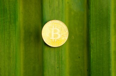 Kripto Döviz altın Bitcoin, Btc, makro çekim Bitcoin metal arka planda, bitcoin incelemesi kavramı paralar.