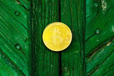 Kripto Döviz altın Bitcoin, Btc, makro çekim Bitcoin ahşap arka plan üzerinde bitcoin incelemesi kavramı paralar.