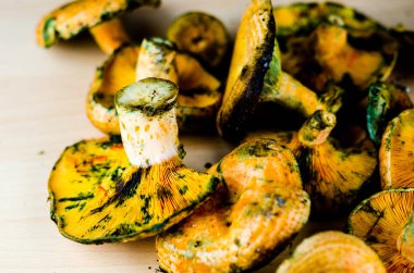 Kanlı süt kap (Lactarius sanguifluus) mantar, Güney Avrupa, orman ürünleri ünlü mantar