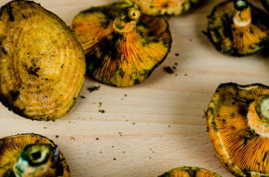 Kanlı süt kap (Lactarius sanguifluus) mantar, Güney Avrupa, orman ürünleri ünlü mantar