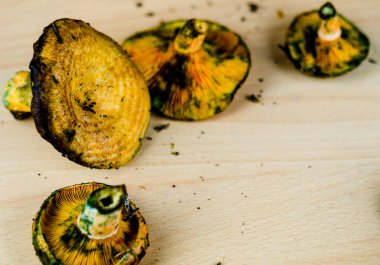 Kanlı süt kap (Lactarius sanguifluus) mantar, Güney Avrupa, orman ürünleri ünlü mantar