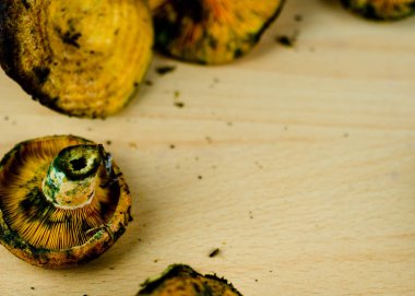 Kanlı süt kap (Lactarius sanguifluus) mantar, Güney Avrupa, orman ürünleri ünlü mantar