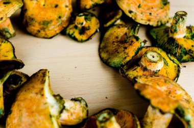 Kanlı süt kap (Lactarius sanguifluus) mantar, Güney Avrupa, orman ürünleri ünlü mantar