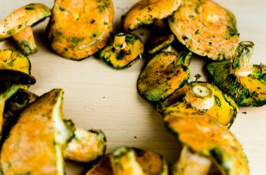 Kanlı süt kap (Lactarius sanguifluus) mantar, Güney Avrupa, orman ürünleri ünlü mantar