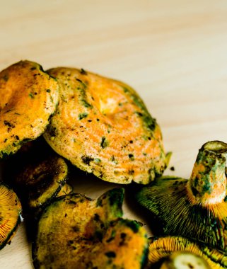 Kanlı süt kap (Lactarius sanguifluus) mantar, Güney Avrupa, orman ürünleri ünlü mantar