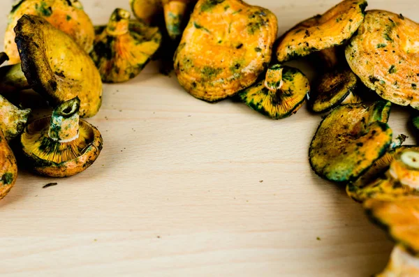 Kanlı süt kap (Lactarius sanguifluus) mantar, Güney Avrupa, orman ürünleri ünlü mantar