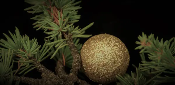 Albero Natale Ramo Palle Primo Piano Decorazioni Natalizie Sfondo Vacanza — Foto Stock