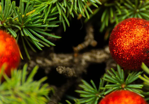 Albero Natale Ramo Palle Primo Piano Decorazioni Natalizie Sfondo Vacanza — Foto Stock