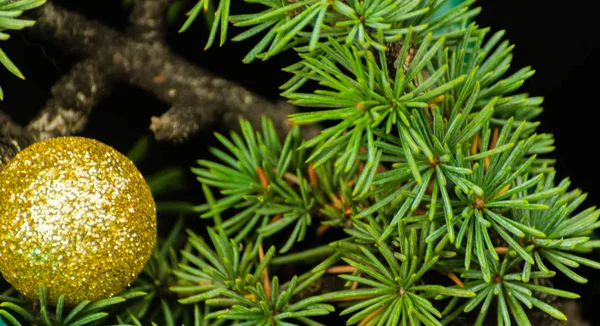 クリスマスの木の枝やボール クリスマスの装飾のためのクローズ アップの休日の背景 — ストック写真