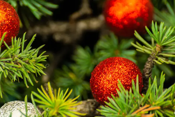 Albero Natale Ramo Palle Primo Piano Decorazioni Natalizie Sfondo Vacanza — Foto Stock