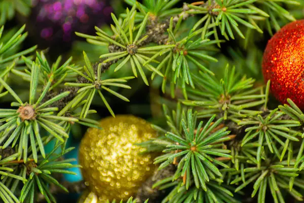 Albero Natale Ramo Palle Primo Piano Decorazioni Natalizie Sfondo Vacanza — Foto Stock