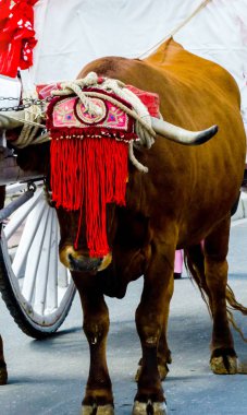 portre bir öküz başı için dekore edilmiş geleneksel dekorasyon, Hayvancılık, tarım