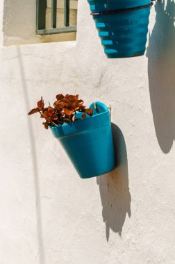 Seramik saksıyı çiçek ile dekorasyon kentsel mekan, dekoratif sokak duvarda asılı