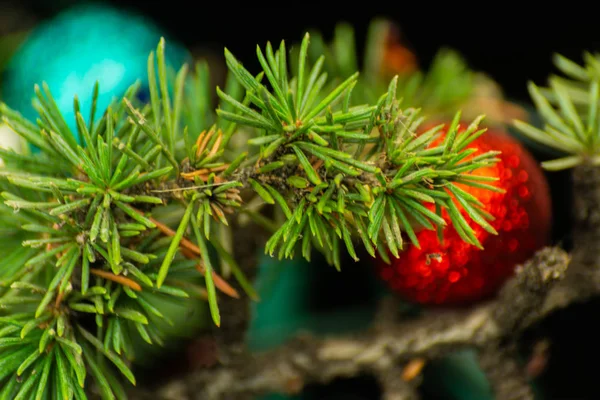 Albero Natale Ramo Palle Primo Piano Decorazioni Natalizie Sfondo Vacanza — Foto Stock