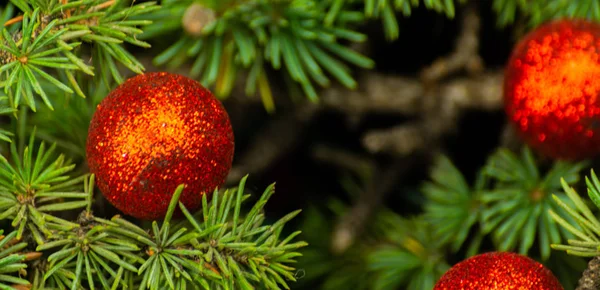 Albero Natale Ramo Palle Primo Piano Decorazioni Natalizie Sfondo Vacanza — Foto Stock