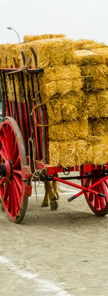 Vieux Cercle Rouillé Détail Roue Avec Chariot Élément Traditionnel Vieux — Photo