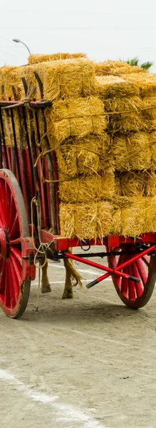 Gamla Rostiga Cirkel Hjulet Detalj Med Vagn Ett Traditionellt Inslag — Stockfoto