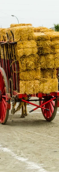 老生锈的圆轮细节与旅行车 一个古老的西班牙车的传统元素 — 图库照片