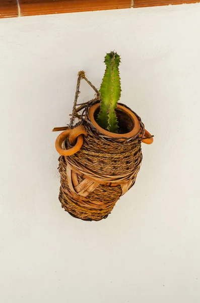 Maceta Cerámica Con Flores Colgadas Pared Decorando Espacio Urbano Calle — Foto de Stock