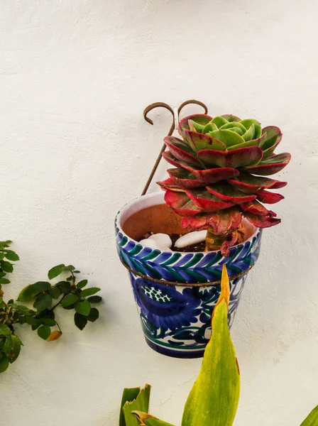 Maceta Cerámica Con Flores Colgadas Pared Decorando Espacio Urbano Calle — Foto de Stock