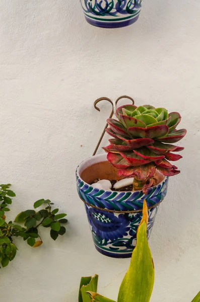Pot Fleurs Céramique Avec Des Fleurs Accrochées Mur Décoration Espace — Photo