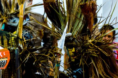 Nerja, İspanya - 10 Şubat 2018, karnaval sokaklarda