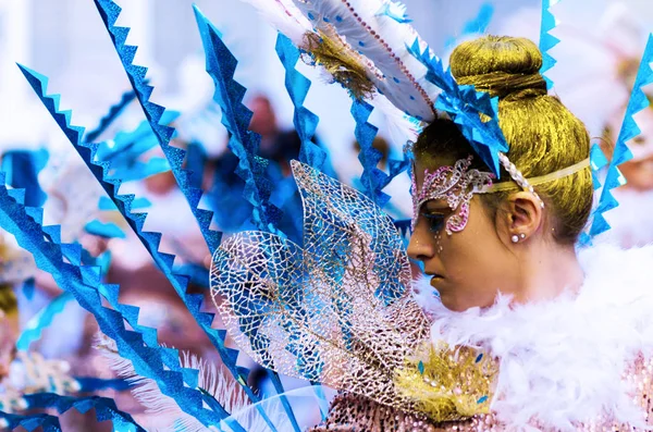 Nerja España Febrero 2018 Carnaval Las Calle —  Fotos de Stock