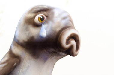 Nerja, İspanya - 11 Şubat 201