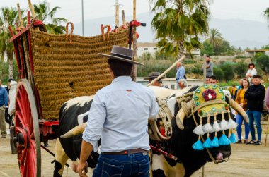 Almayate, İspanya - 21 Nisan 2018 sürücü öküz arabası, carters ile öküz, profesyonel çalışma ile yeteneği sunumunu dayalı geleneksel Endülüs Yarışması olay