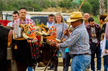 Almayate, İspanya - 21 Nisan 2018 sürücü öküz arabası, carters ile öküz, profesyonel çalışma ile yeteneği sunumunu dayalı geleneksel Endülüs Yarışması olay